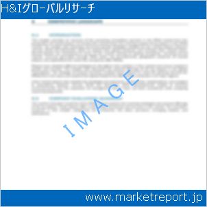 市場と産業調査レポートのイメージ